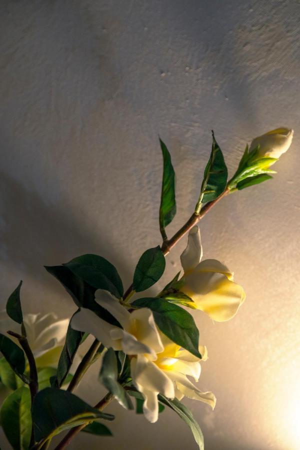 Ca' Anna In Biennale Apartment